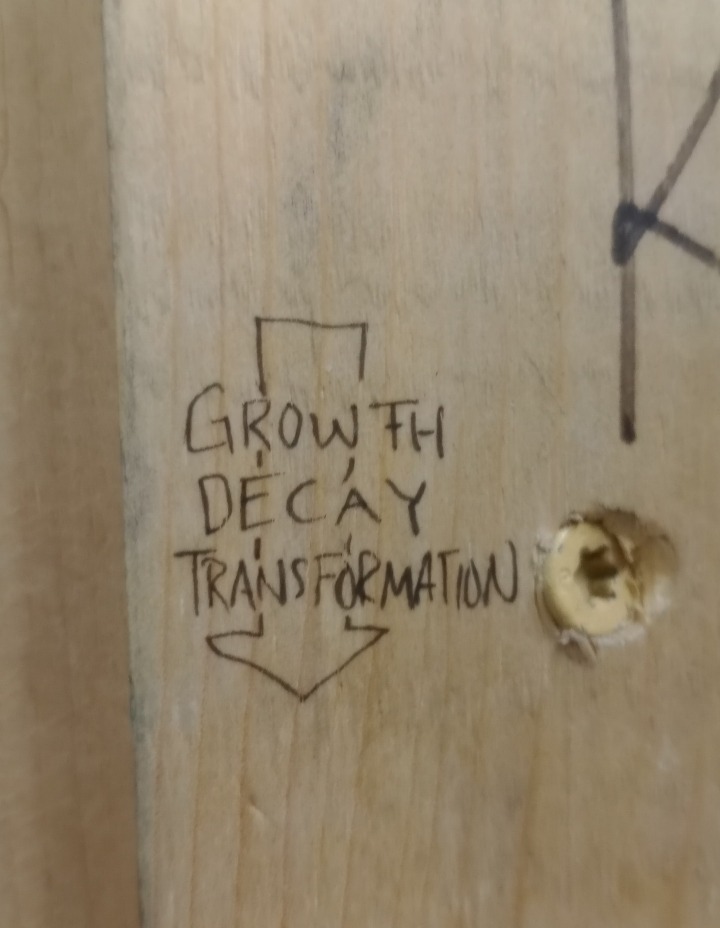 growth, decay, transformation